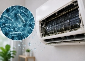 Legionella baktérium